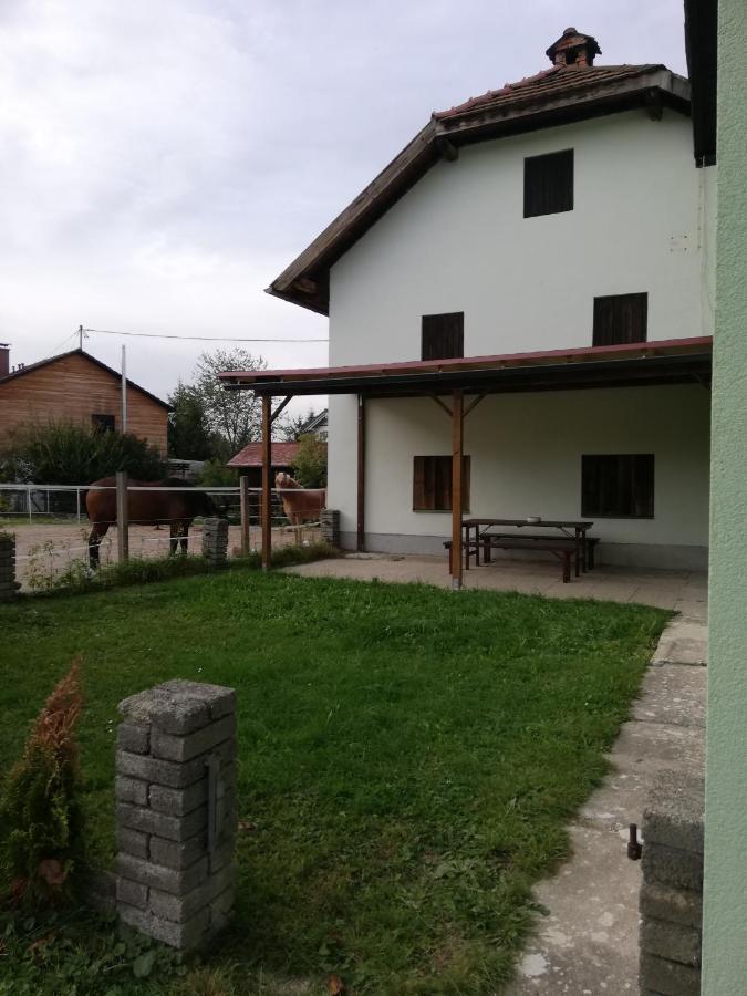 Ferienwohnung Schmied 1 Aurach am Hongar Kültér fotó