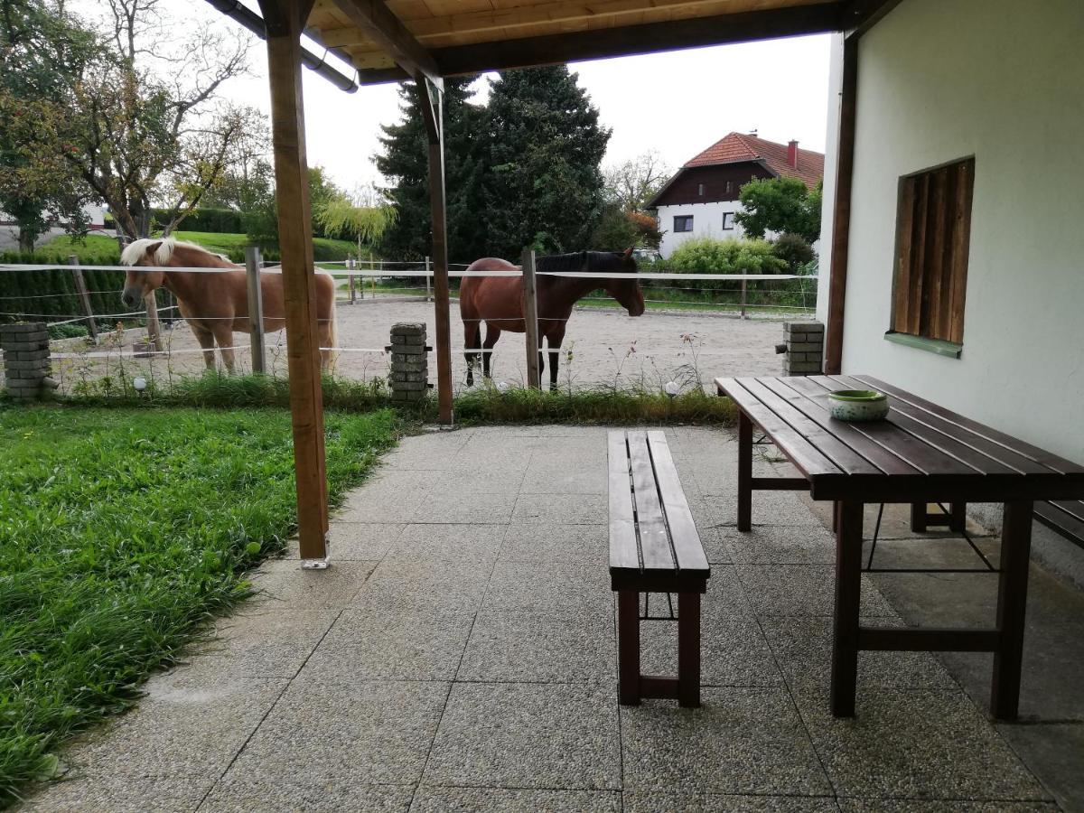 Ferienwohnung Schmied 1 Aurach am Hongar Kültér fotó